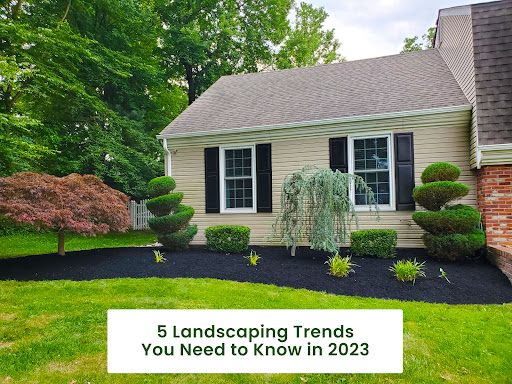 5-Landscaping-Trends-You-Need-to-Know-in-2023