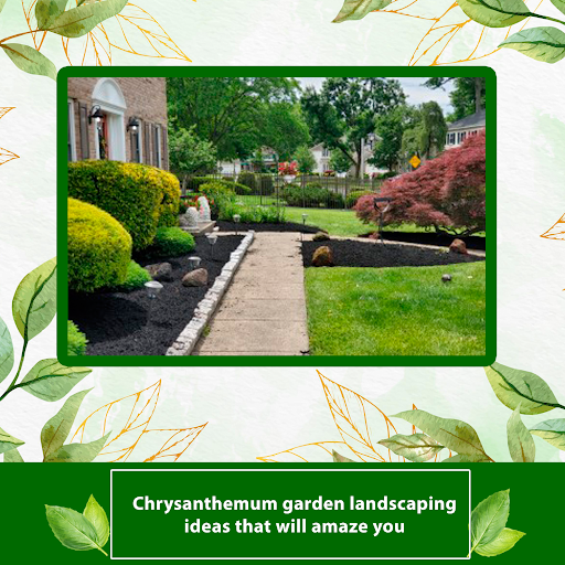 Chrysanthemum-garden-landscaping-ideas-that-will-amaze-you