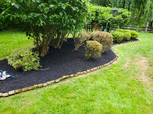 Low-Maintenance-Landscaping-Simplify-Your-Summer-Yard-Care