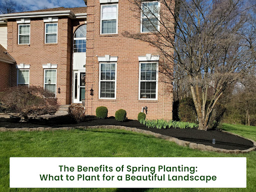 The-Benefits-of-Spring-Planting-What-to-Plant-for-a-Beautiful-Landscape