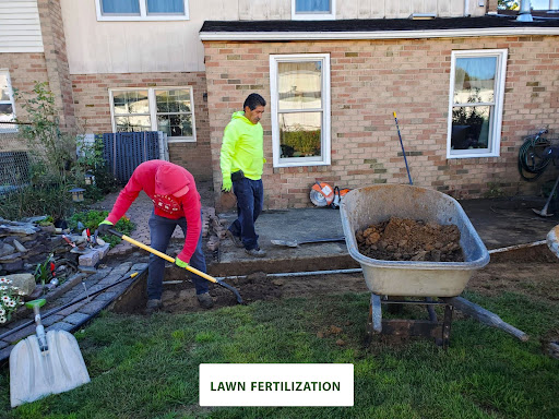lawn-fertilization