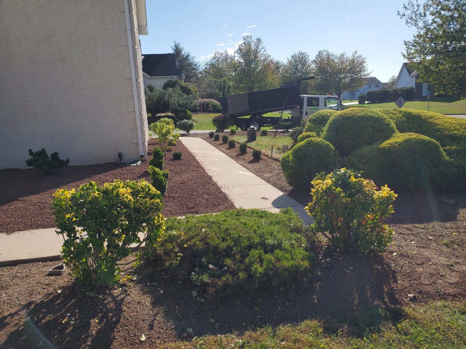 best-flowers-shrubs-to-thrive-in-late-summer-heat-11