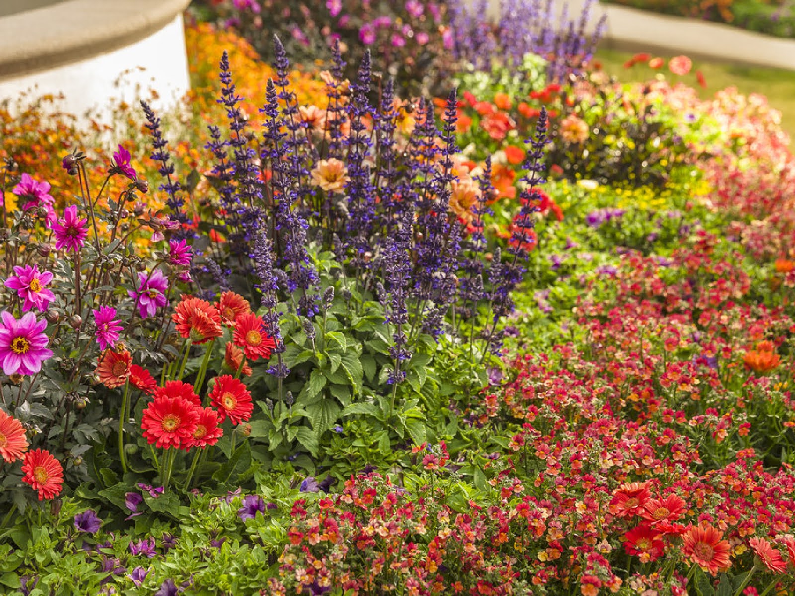 landscaping-checklist-what-to-prune-plant-and-protect-2