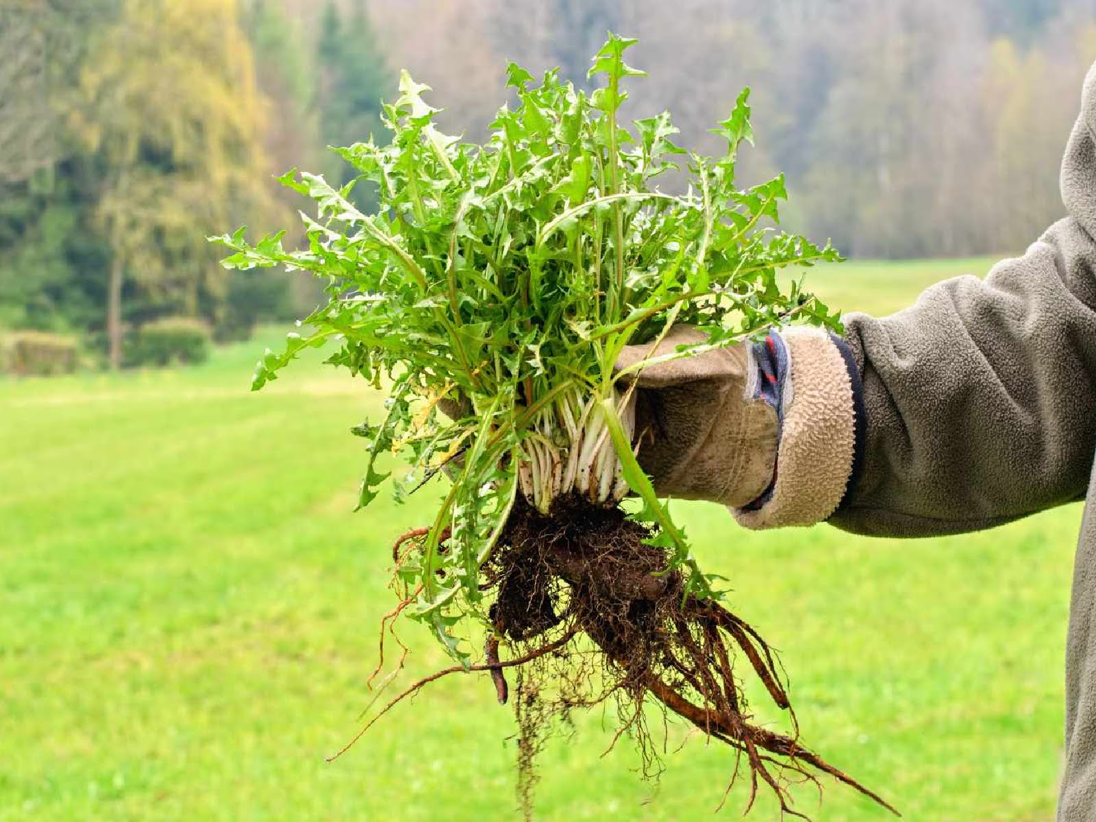 summer-hardscape-maintenance-tips-for-long-lasting-beauty-2